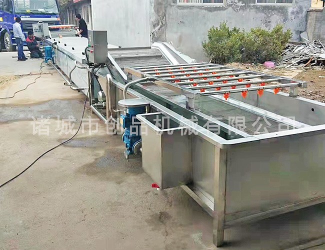 果蔬清洗风干流水线安装现场