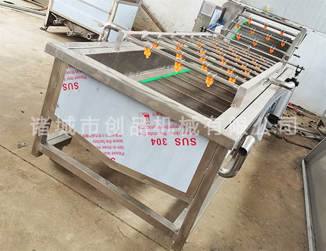 蔬菜清洗流水线