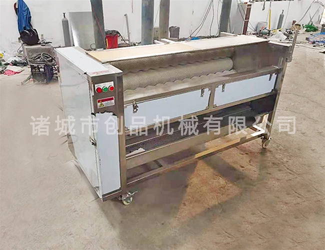 萝卜毛辊清洗机